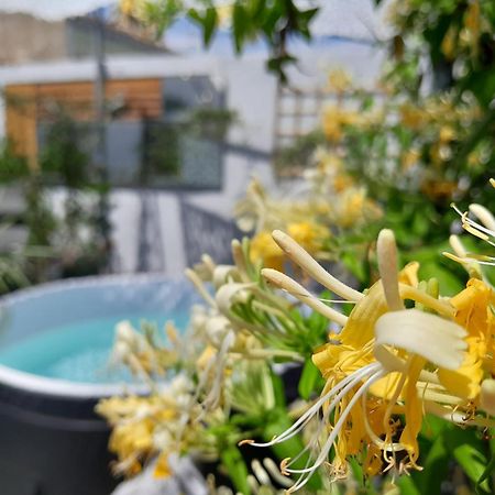 エーグ・モルト Le Petit Patio Bed & Breakfast エクステリア 写真