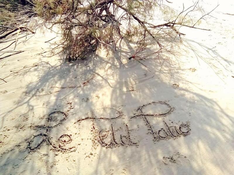 エーグ・モルト Le Petit Patio Bed & Breakfast エクステリア 写真