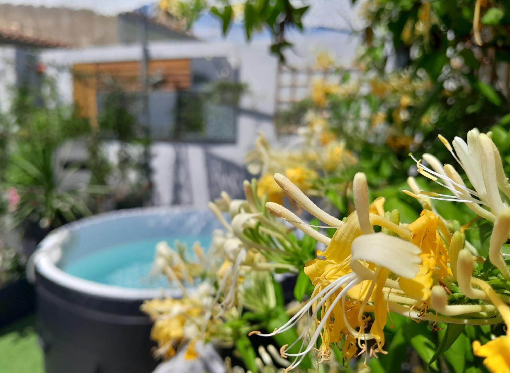 エーグ・モルト Le Petit Patio Bed & Breakfast エクステリア 写真