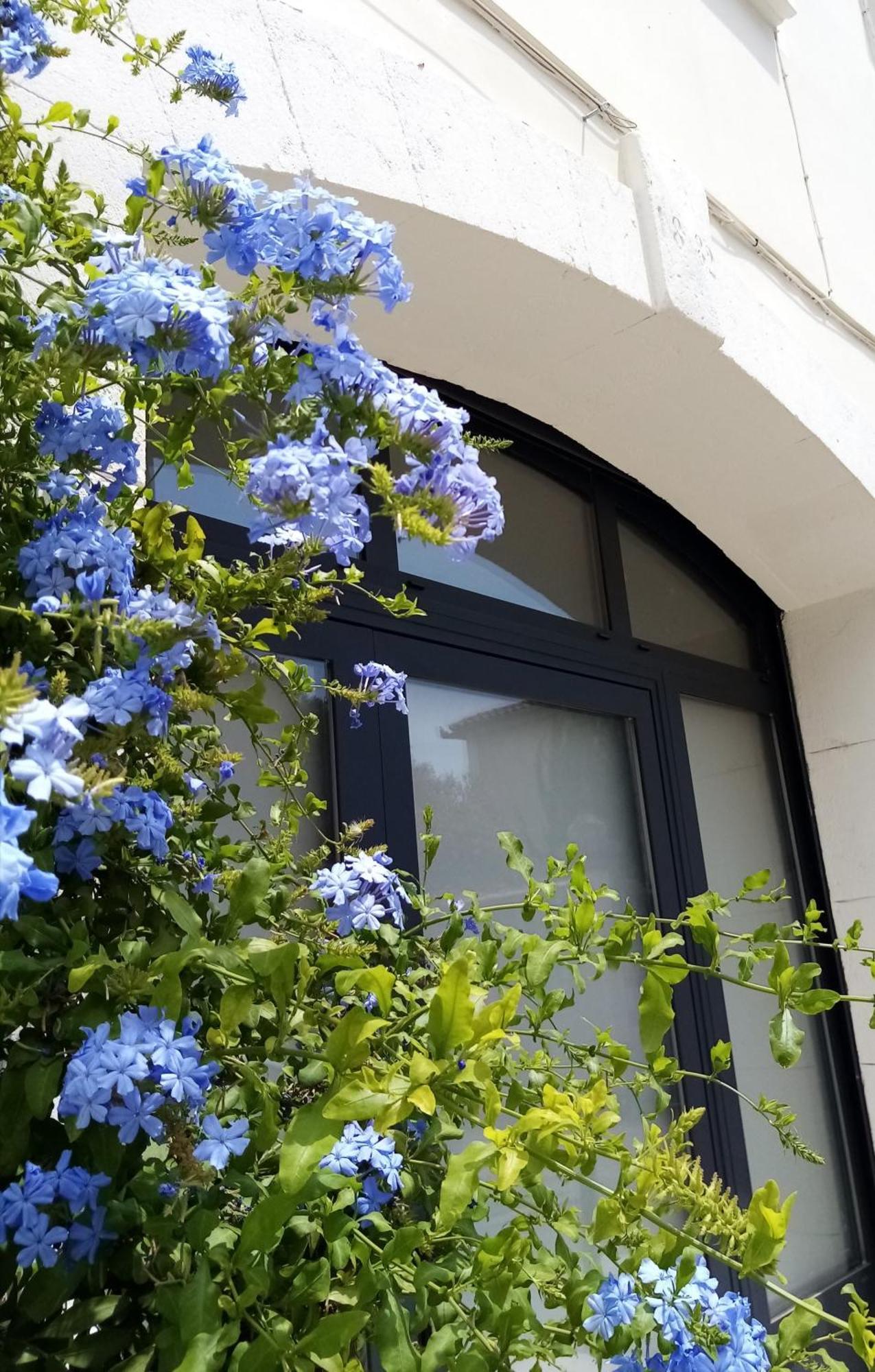 エーグ・モルト Le Petit Patio Bed & Breakfast エクステリア 写真