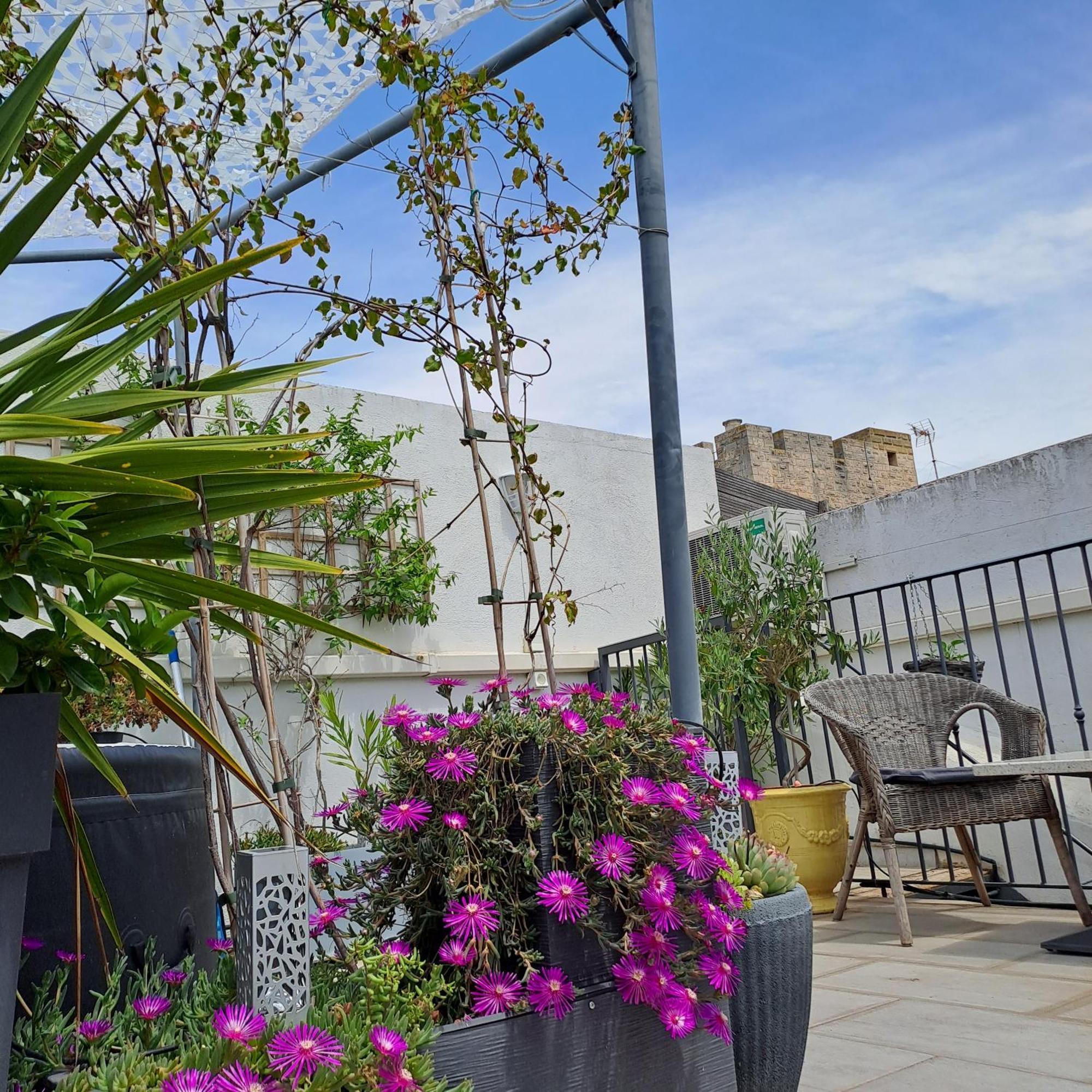 エーグ・モルト Le Petit Patio Bed & Breakfast エクステリア 写真